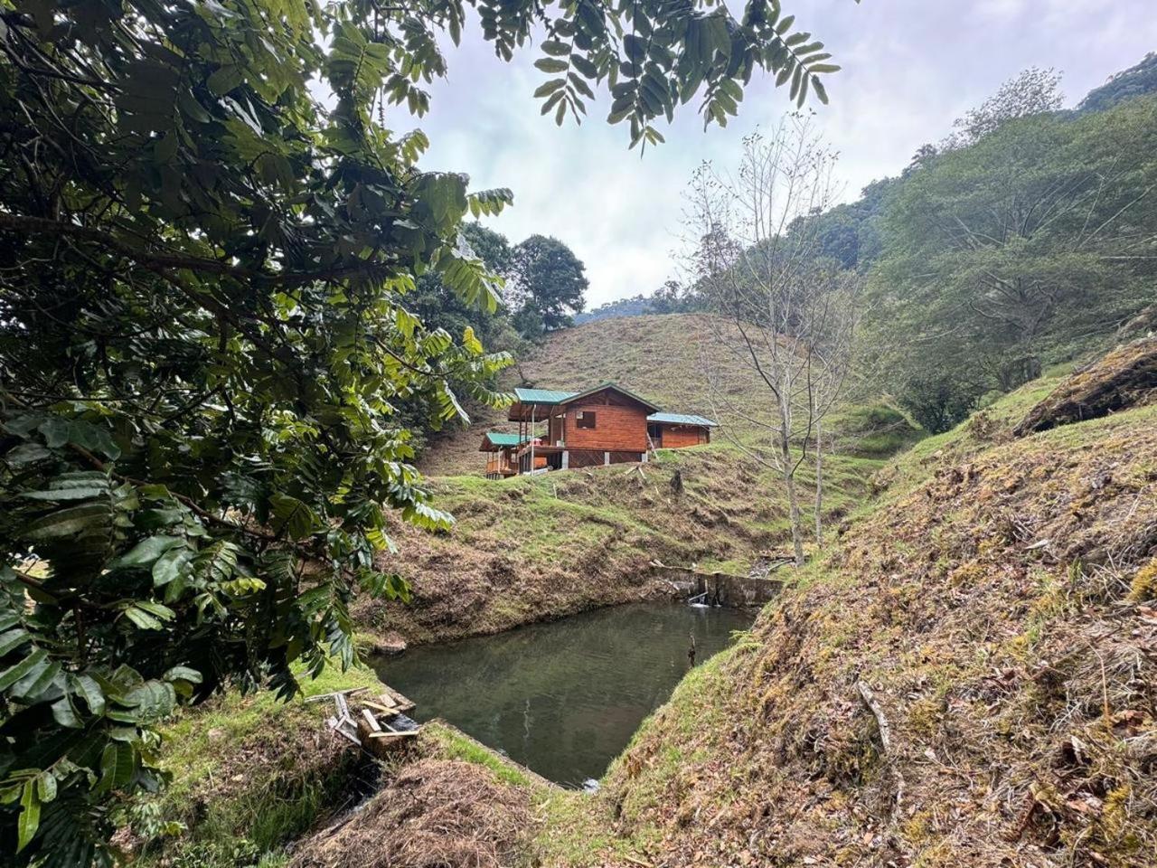 Entre Arboles Lodge 圣赫拉多德多塔 外观 照片