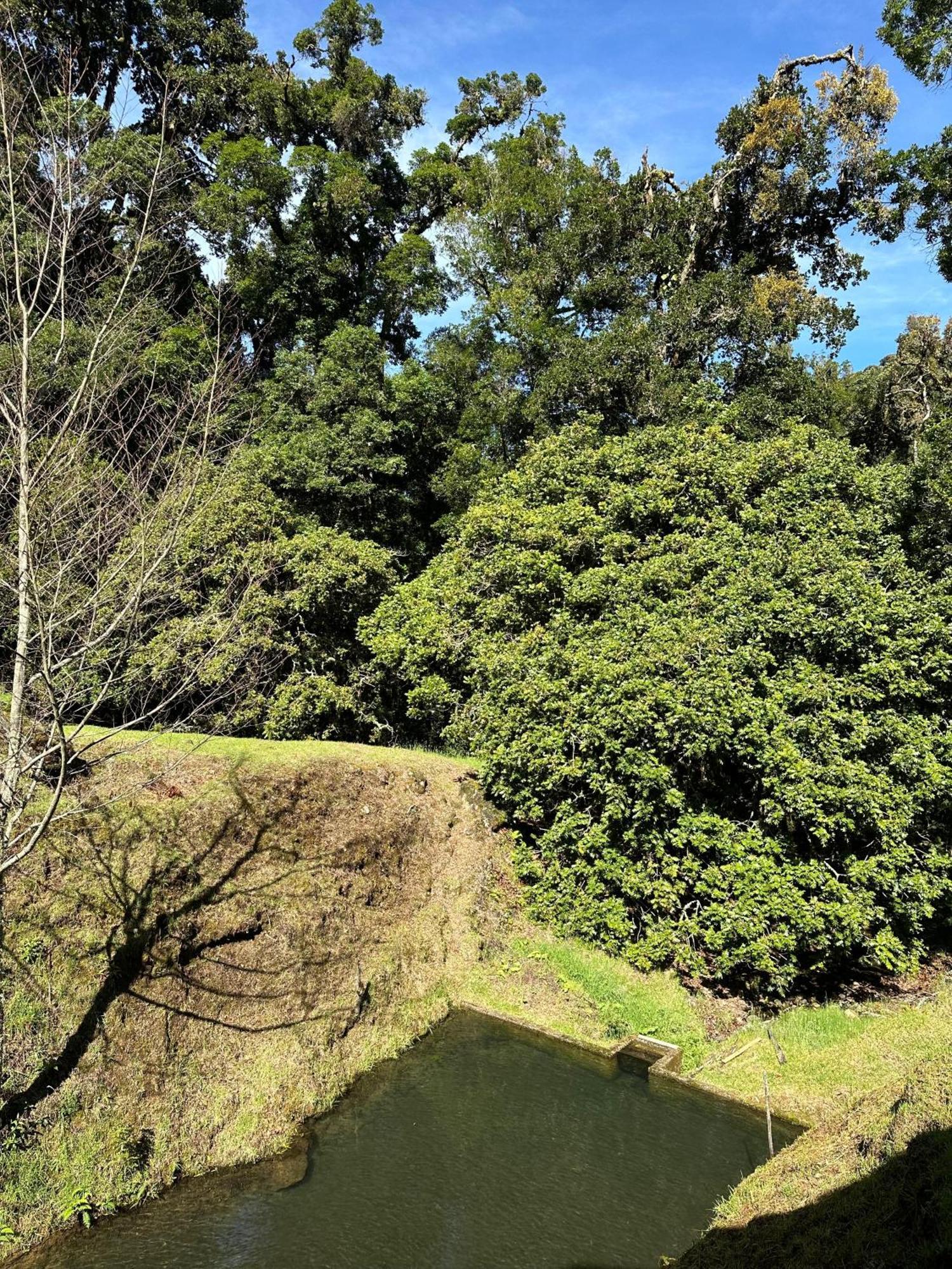 Entre Arboles Lodge 圣赫拉多德多塔 外观 照片