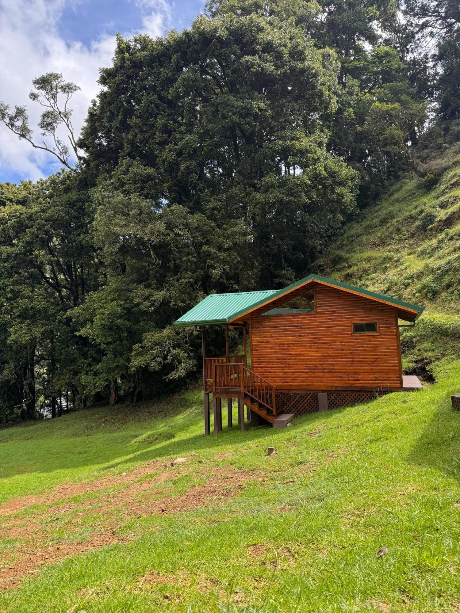 Entre Arboles Lodge 圣赫拉多德多塔 外观 照片