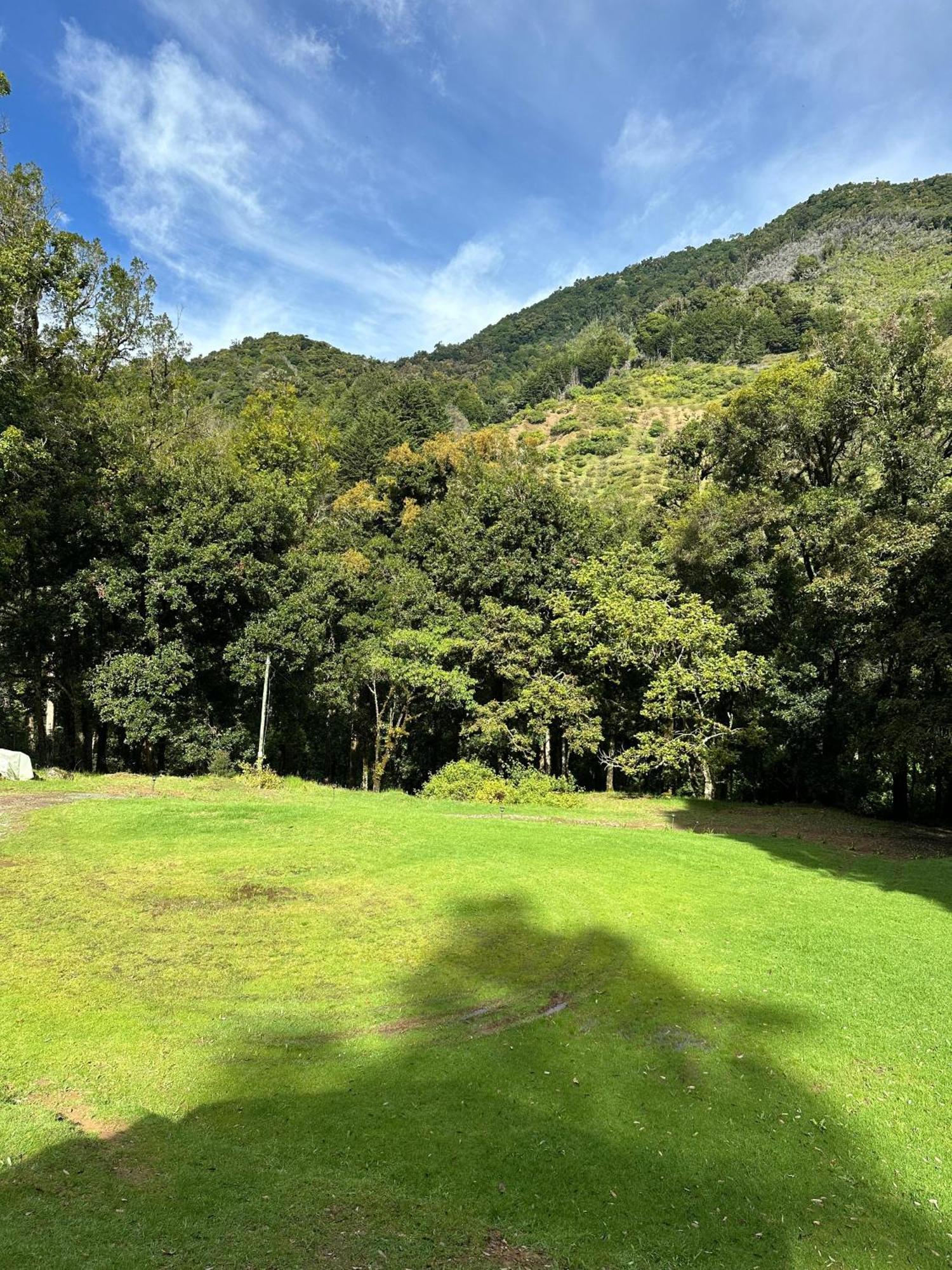 Entre Arboles Lodge 圣赫拉多德多塔 外观 照片
