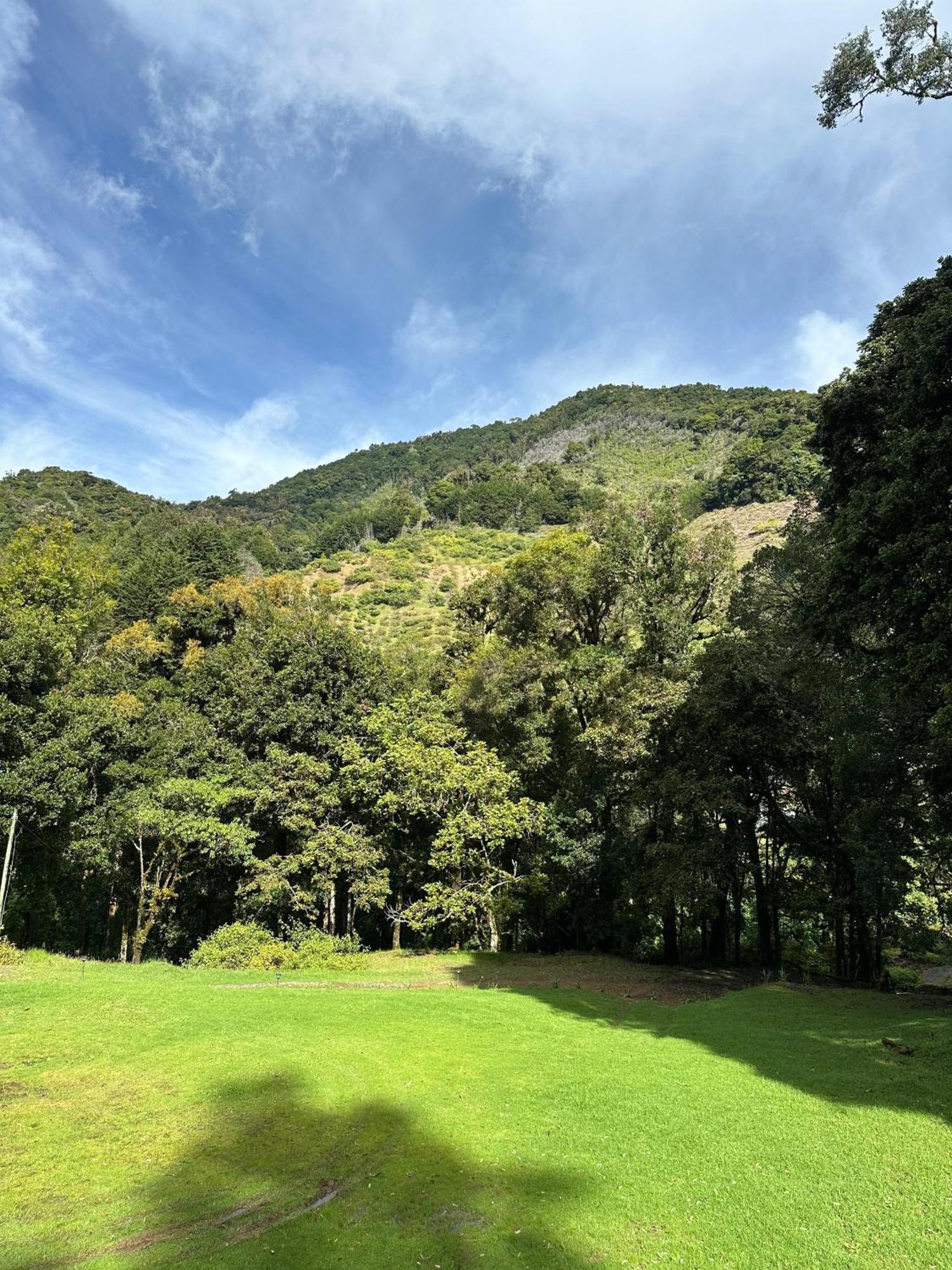 Entre Arboles Lodge 圣赫拉多德多塔 外观 照片
