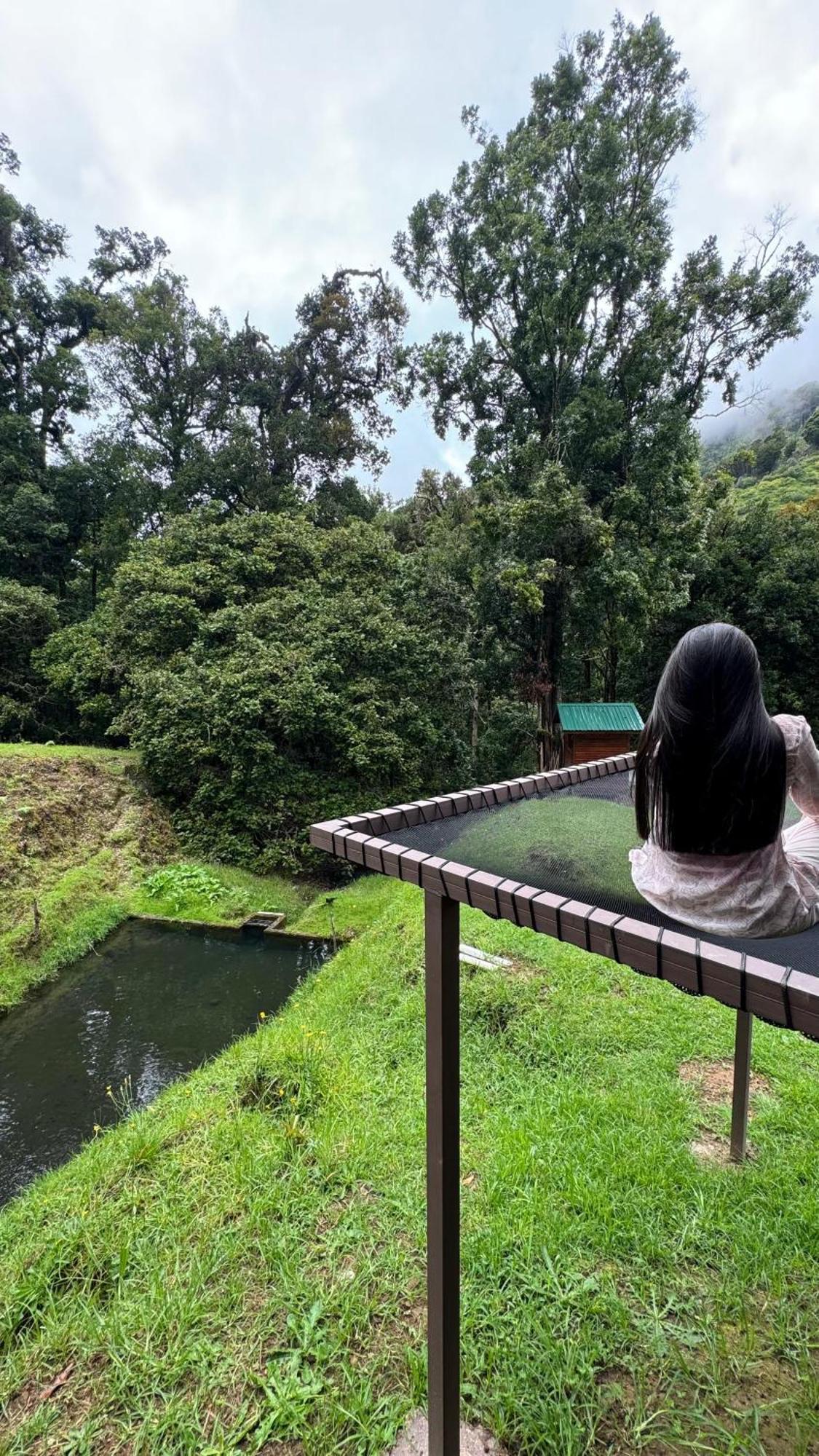 Entre Arboles Lodge 圣赫拉多德多塔 外观 照片