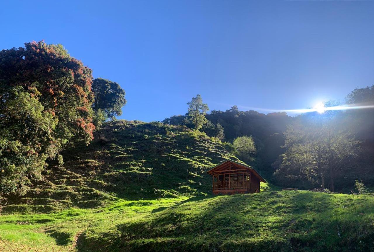 Entre Arboles Lodge 圣赫拉多德多塔 外观 照片