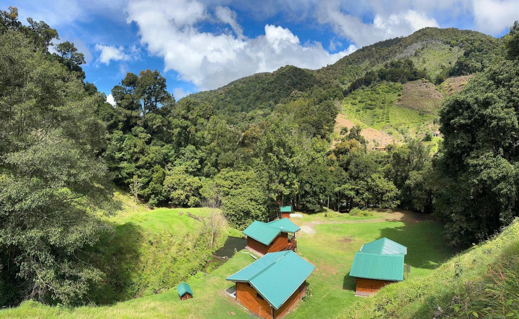 Entre Arboles Lodge 圣赫拉多德多塔 外观 照片