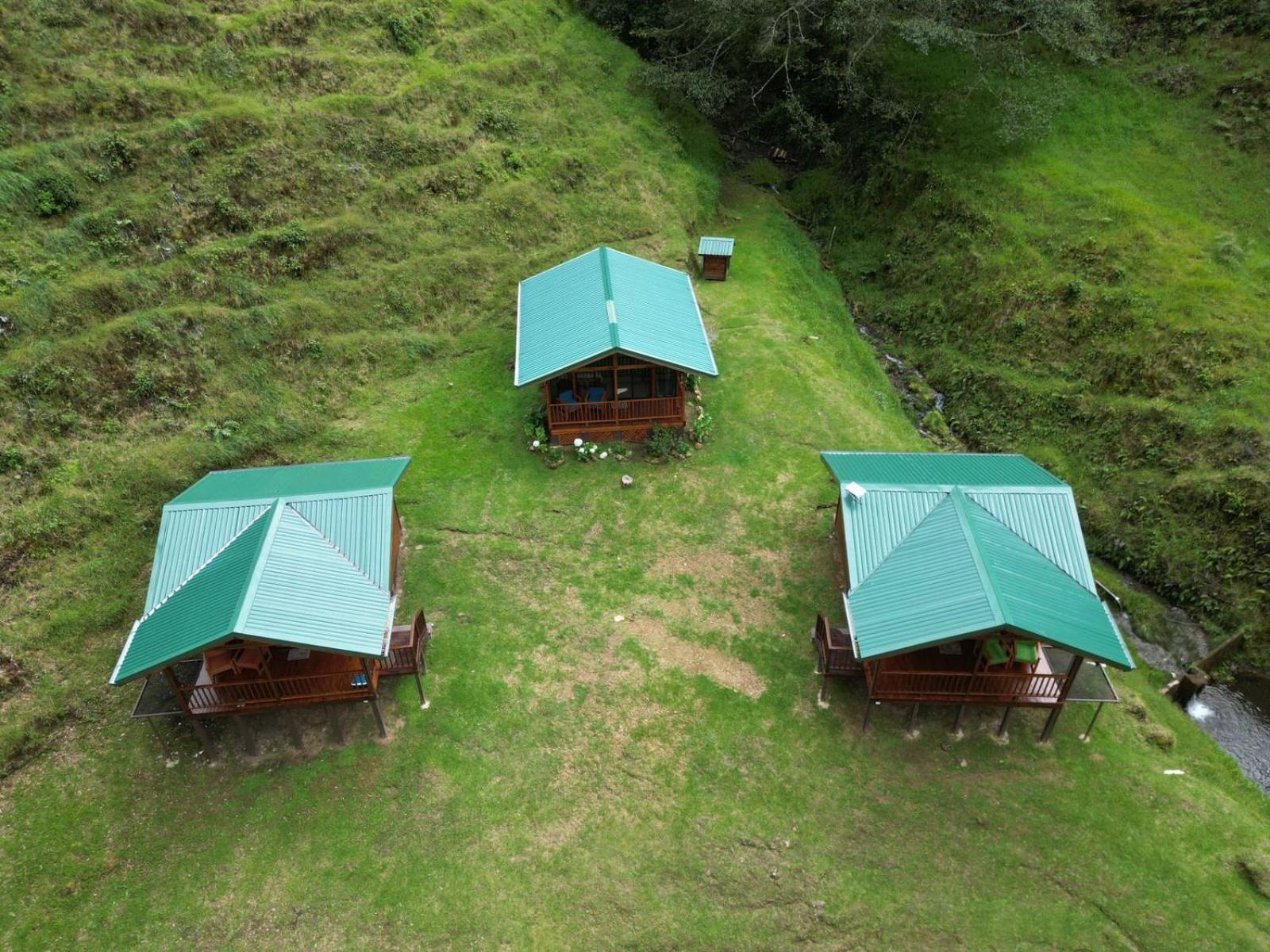 Entre Arboles Lodge 圣赫拉多德多塔 外观 照片
