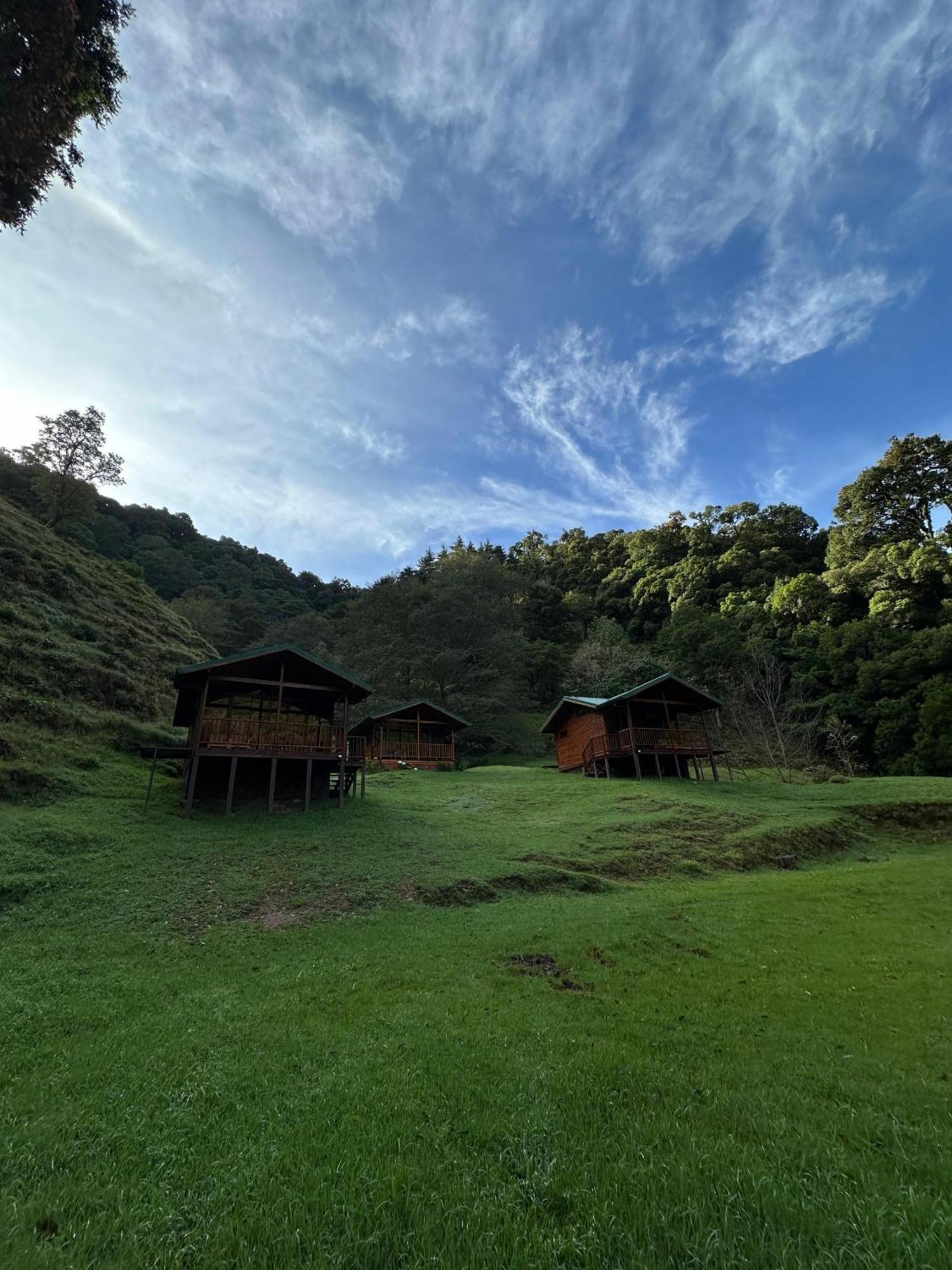 Entre Arboles Lodge 圣赫拉多德多塔 外观 照片