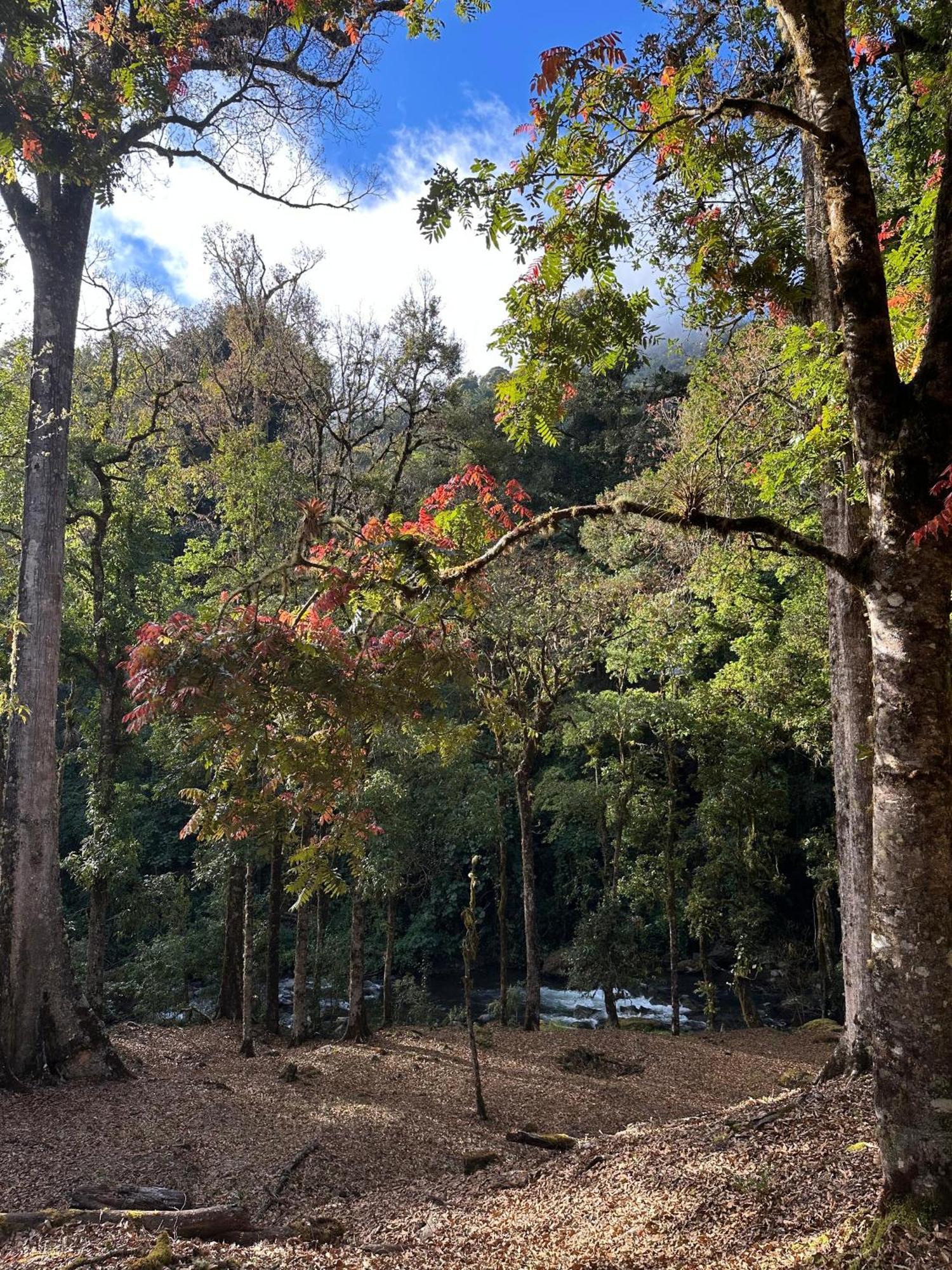 Entre Arboles Lodge 圣赫拉多德多塔 外观 照片