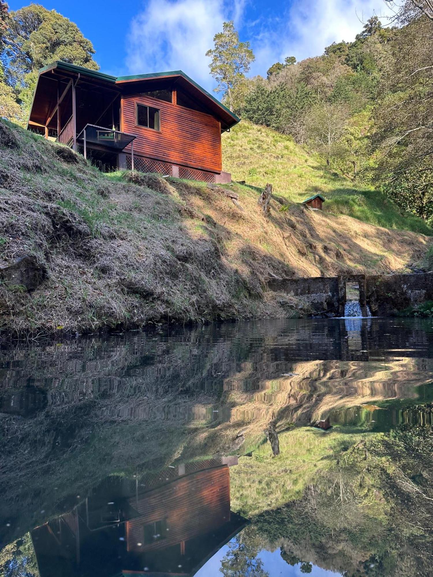 Entre Arboles Lodge 圣赫拉多德多塔 外观 照片