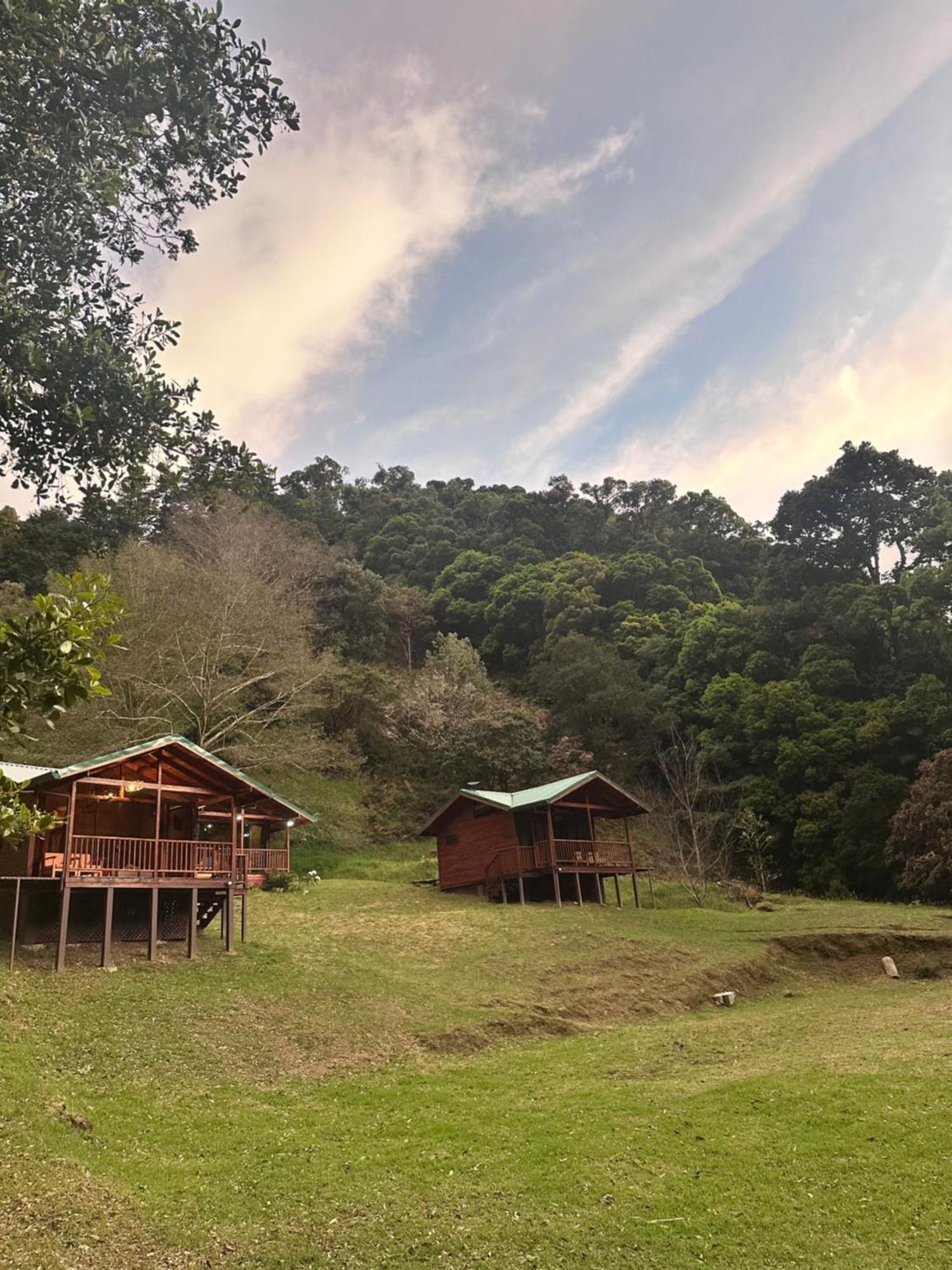Entre Arboles Lodge 圣赫拉多德多塔 外观 照片