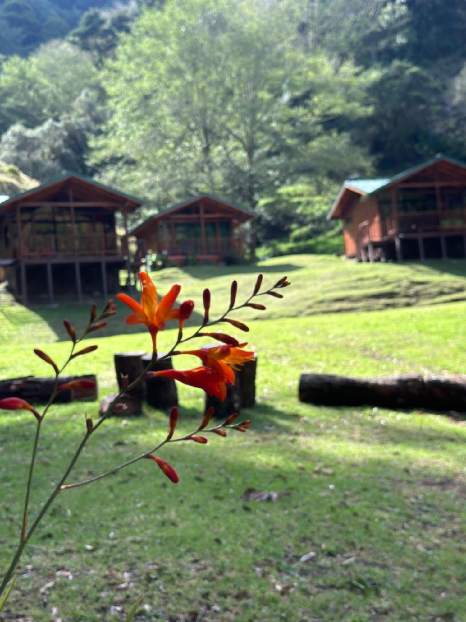 Entre Arboles Lodge 圣赫拉多德多塔 外观 照片