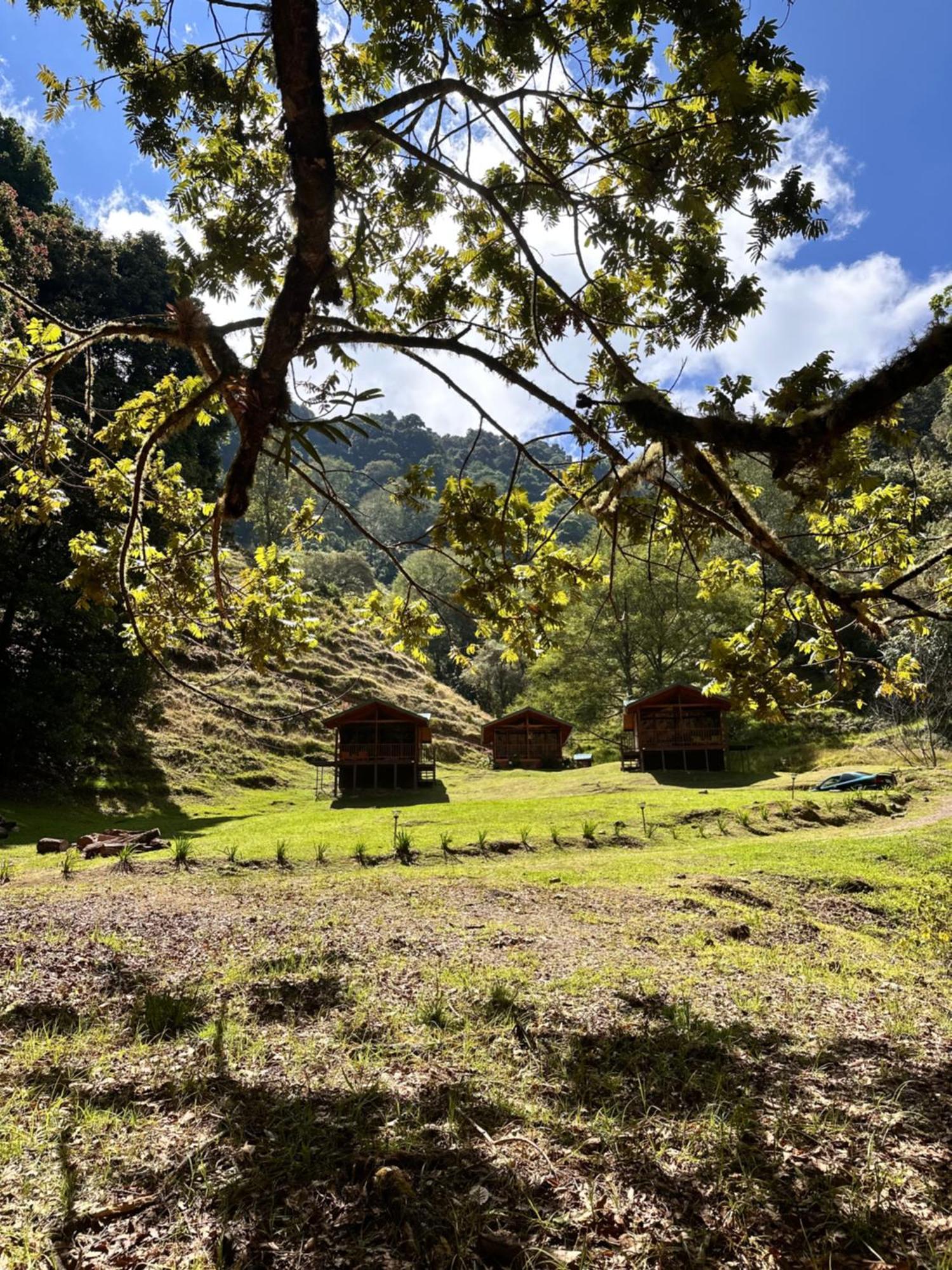 Entre Arboles Lodge 圣赫拉多德多塔 外观 照片
