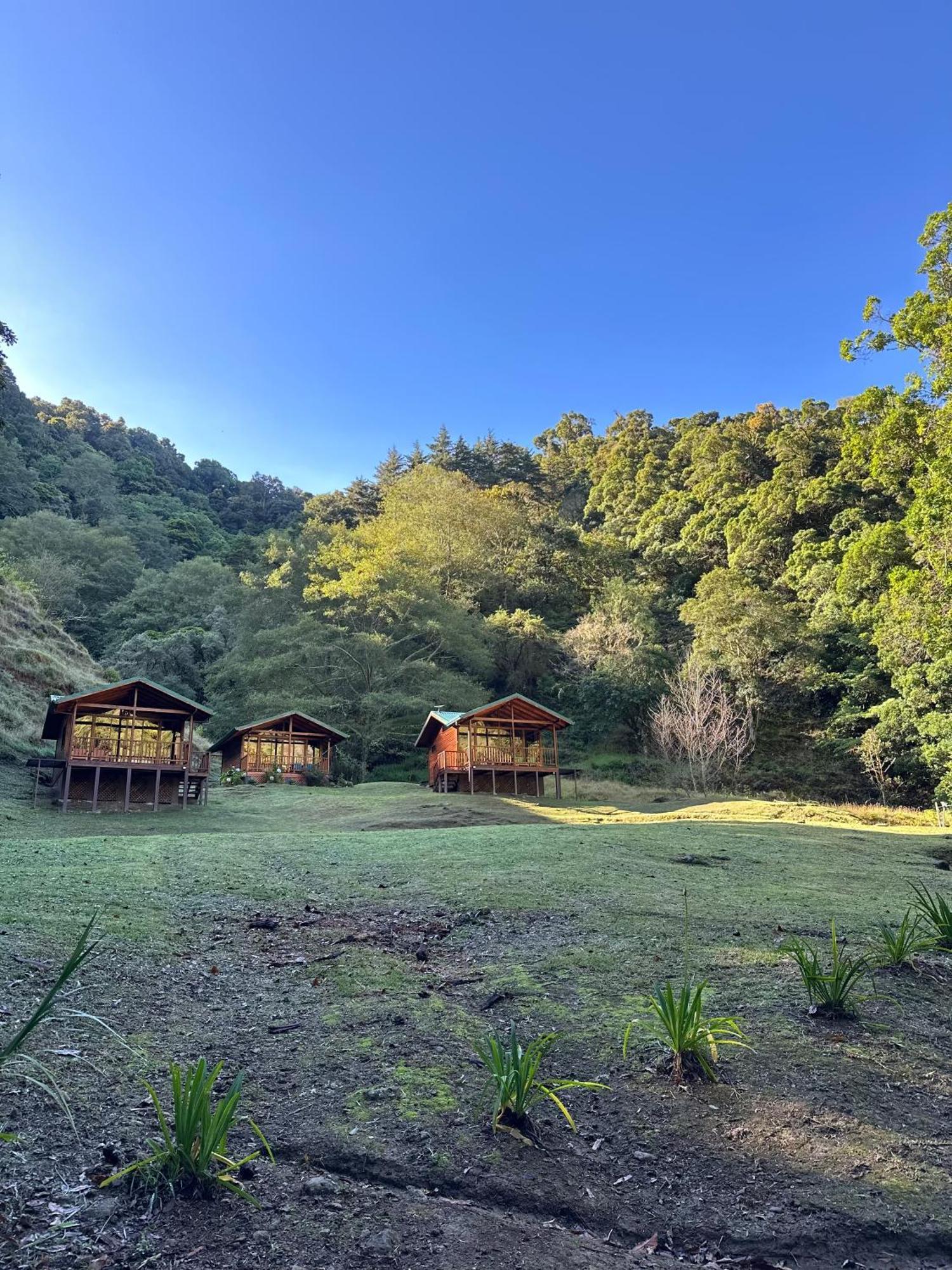 Entre Arboles Lodge 圣赫拉多德多塔 外观 照片