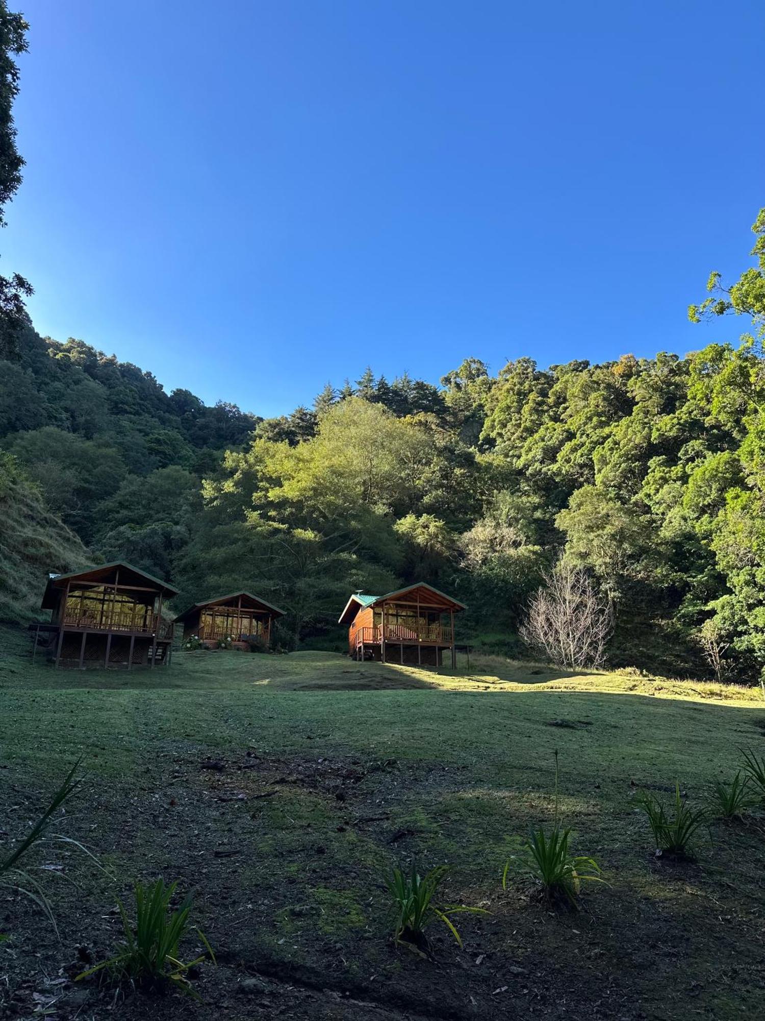 Entre Arboles Lodge 圣赫拉多德多塔 外观 照片
